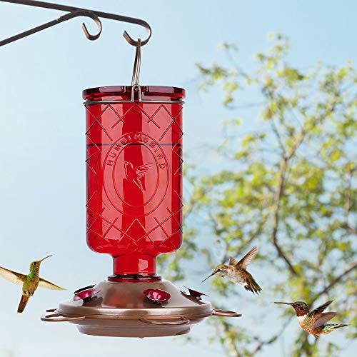 4 BOLITE+Hummingbird+Feeders+Feeding+Stations