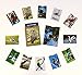 Feathered Friends (Set C), 12 Credit Card Sleeves and 2 Passport Jackets, Created from FIPS 201 Approved RFID Blocking Laminate