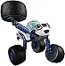 Fisher-Price Nickelodeon Blaze & The Monster Machines, Monster Morpher Darington Vehicle