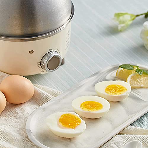 Phononey Electric Egg Cooker Boiler, Stainless Steel Electric Egg