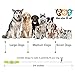 LED Dog Collar, USB Rechargeable Flashing Light Up Collar for Safety at Night, Adjustable Water Resistant Bright Lighted Collar for Small Medium Large Dogs