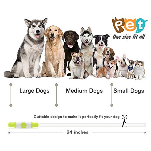 LED Dog Collar, USB Rechargeable Flashing Light Up Collar for Safety at Night, Adjustable Water Resistant Bright Lighted Collar for Small Medium Large Dogs - Thumbnail 2