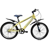 big cat long beach cruiser xl