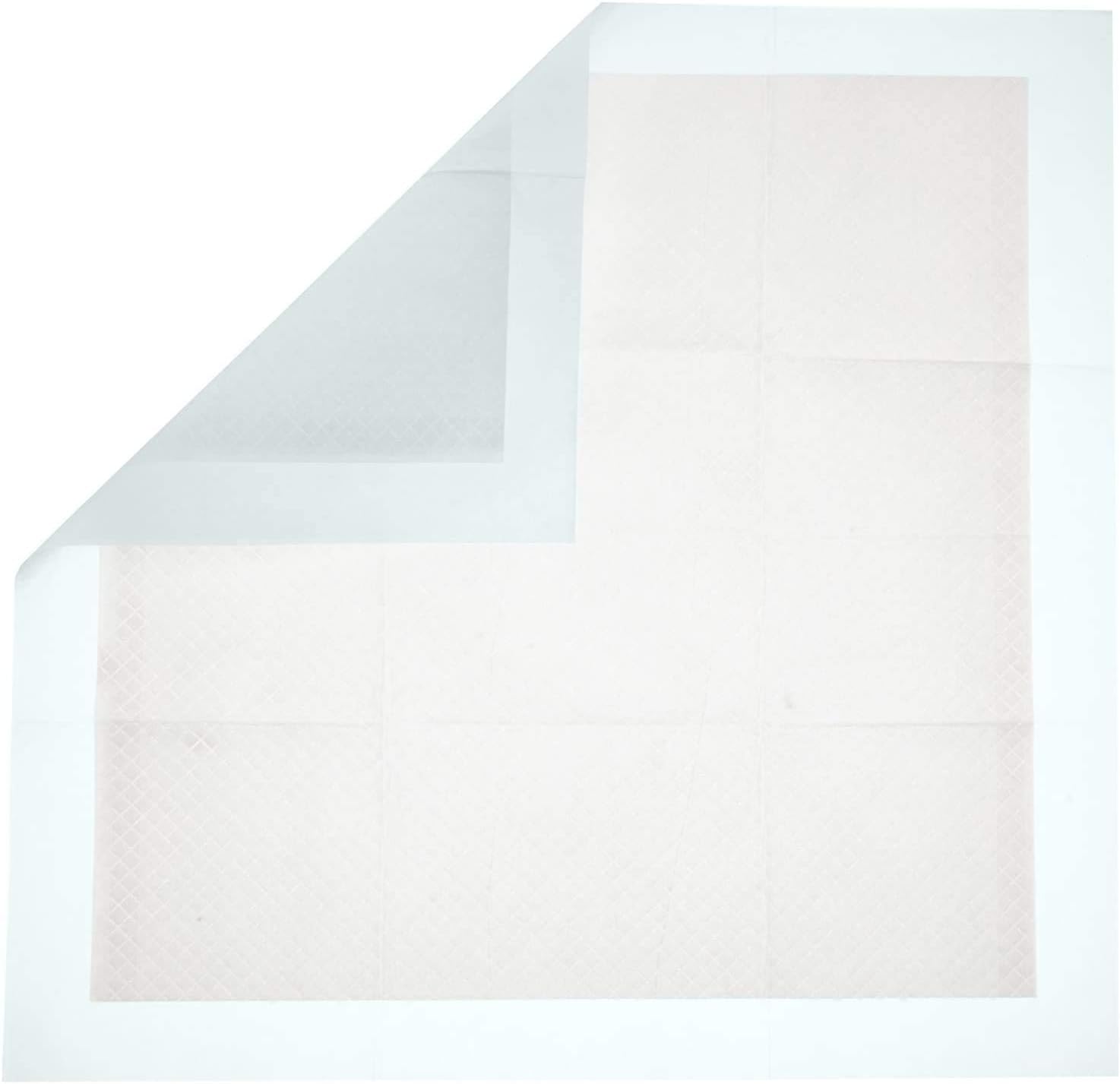 Basics Dog and Puppy Potty Training Pads, Regular (22 x 22 Inches) - Pack of 100 : Pet Supplies