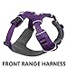 Ruffwear, Front Range Dog Harness, Reflective Soft Padded Everyday Harness with Dual Leash Clips, Adjustable and Lightweight Fit for Training or Walking for All Dogs, Tillandsia Purple, Small