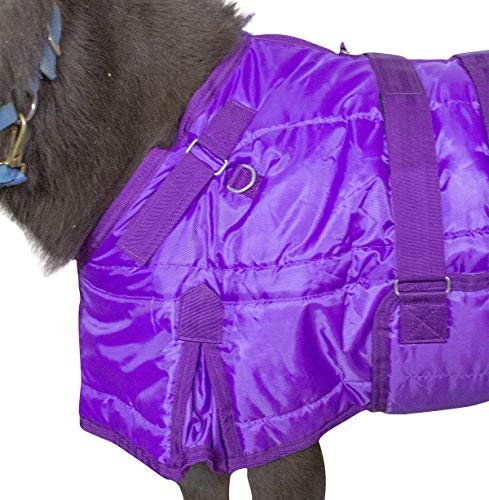 3 Derby+Originals+Windstorm+Breathable+Exterior