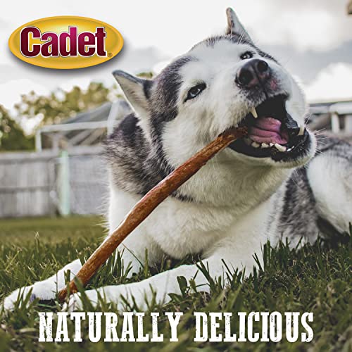 CADET BULLY HIDE STICKS FOR LARGE DOGS, ALL-NATURAL BEEF PIZZLE, LIMITED-INGREDIENT LONG-LASTING DOG CHEWS FOR AGGRESSIVE CHEWERS, 7 COUNT