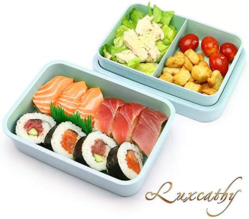 Luxcathy Natural Bamboo Fiber Airtight Leakproof 2-Layer Lunch Box for Adults or Kids (800-1000ML, Pink Blue)