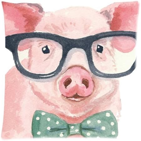 Funny Pig Wearing Glasses Art Animal Cushion Case Pillow Case Zippered Pillowcase Pillow Cover Square 18 X 18 Inch (Twin Sides)