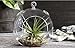 Set of 6 Hanging Glass Globe Plant Terrariums Orbs Air Plant Tea Light Candle Holders Succulents Moss Miniature Garden Indoor Home Decor Outdoor Garden DIY Design Gift 4 Inches by 4