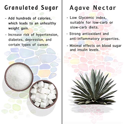 Chantico Agave Sweetener (Raw Agave, 2 Pack of 11.75oz Bottles) Organic