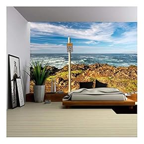 USA Pacific Coast Landscape, Oregon State - Removable Wall Mural | Self-Adhesive Large Wallpaper - 66x96 inches