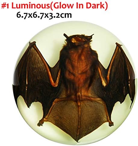 QIANLAI 67mm Acrylic Lucite Transparent Bat Specimens Animal Insect Taxidermy Bat Amber Educational Teach Supply Biological Collection,Luminous