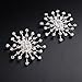 Zebratown Flower Shape Rhinestone Crystal Shoe Clips for Prom Party