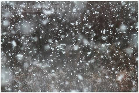 Snowfall an original photographic print