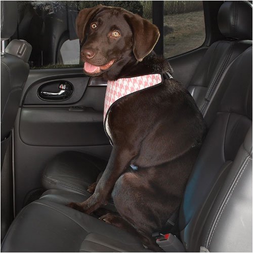 Cruising Comp Houndstooth Car Hrns Xsm Pink