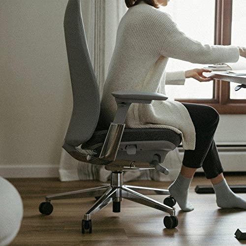 Haworth Fern High Performance Office Chair with Ergonomic Innovations