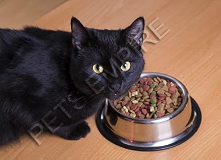 Pets Empire Pet Bowls for Smaller Dogs and Cats. Wipe Clean, Stainless Steel Non-Skid Bottom for Puppies, Kittens, Rabbits and More - Set of 2