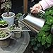 Cesun Metal Watering Can Solid Stainless Steel Pot with Long Spout Small Size for Bonsai Indoors and Outdoors, 48 Fl Oz