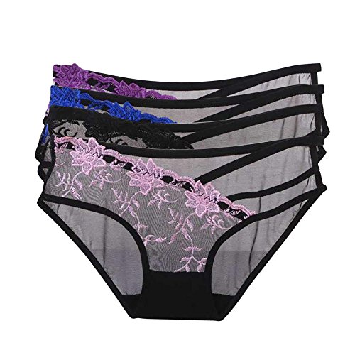Start 4-Pack Women Lace Hollow Sheer underwear