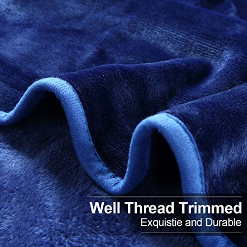 EASELAND Soft Queen Size Blanket Warm Fuzzy Microplush Lightweight