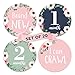 Baby Monthly Milestone Stickers | 20 Premium Floral Stickers for First Year | Includes 12 Month Stickers and 8 Milestone Stickers | New Mom Baby Shower Gift | New Baby Photo Prop Onesie Belly Stickers
