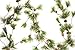 CraftMore Smokey Pine 6' Christmas Garland with Lights