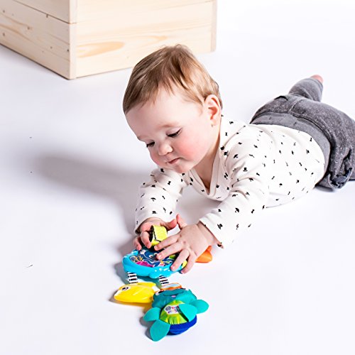 Baby Einstein Musical Glow Go Pricepulse
