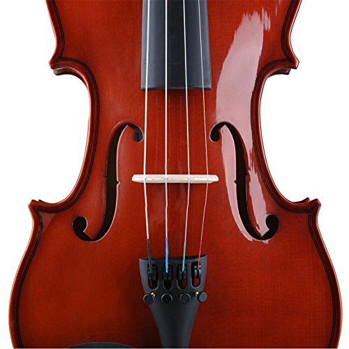 ADM 3/4 Violin Acoustic Solid Wood Polishing Varnish with Starter kit