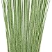 AQUEENLY Floral Stem Wire 22 Gauge Florist Flower Arrangement Supplies Flower Making Accessory, Dark Green, 14 Inches