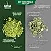 Hyper Premium Organic Matcha Green Tea Powder Ceremonial Grade + Bamboo Tea Ceremony Spoon + Free 'Matcha Gourmet' Recipe e-Book = Matcha Tea Set - 1 oz (30 servings) per tin can