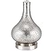 Catalina Lighting 19560-000 Transitional Mercury Glass Gourd Table Lamp, 24