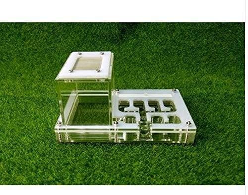 MTCWD Transparent Ant Housing Nest Insect Cage Ant Nest Ant Habitat Easy to Install Kid Educational Toys (Black)