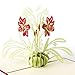 Paper Spiritz Pop up Mother's Day Cards, Flower Greeting Card Birthday Card Thank You Card with Envelope, Get Well Pop Up Card, I Love Mom Cards for Women Wife Mom Sister Aunt Granny (2013)