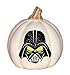 Star Wars Darth Vader White Pumpkin