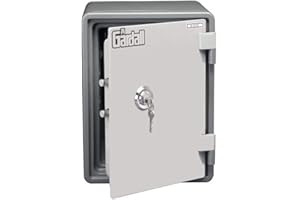 Gardall MS129 One Hour Microwave Fire Safe