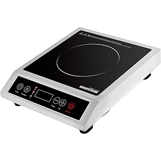 best commercial electric hot plate