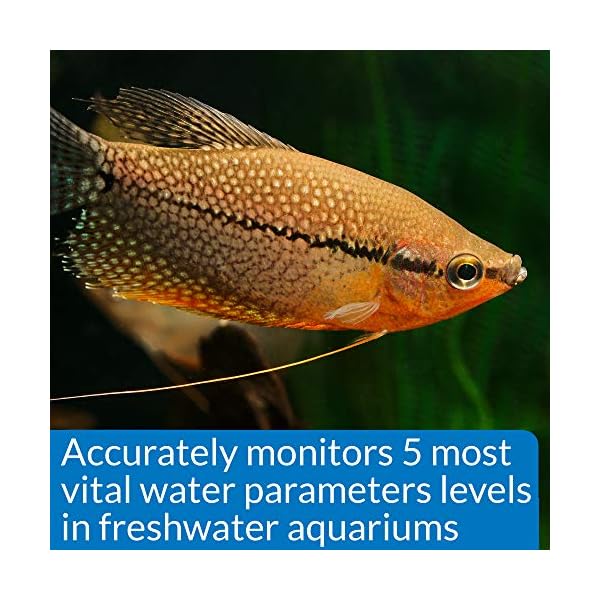 API-800-Test-Freshwater-Aquarium-Water-Master-Test-Kit API 800 Test Freshwater Aquarium Water Master Test Kit