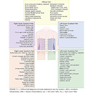 Tintinalli's Emergency Medicine: A Comprehensive Study Guide, 8th edition