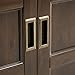 Simpli Home Burlington Solid Wood Low Storage Cabinet, Espresso Brown