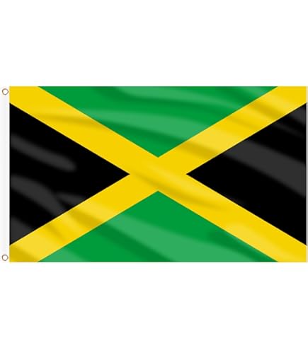 洋書 JAMAICA Amazon.com : FLAGBURG Jamaica Flag Jamaican National Flags