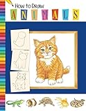 How To Draw Animals: Learn to Draw Animals Step by Step Using Basic Shapes and Lines, How to Draw An by 