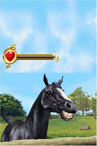 Horse Life Nintendo Ds Artist Not Provided Video Games Amazon Com