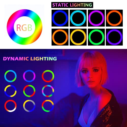 Big Ring Light 18 inch Large Ring Light with Stand and Phone Holder