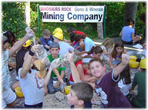 Fossil Mineral Gemstone Excavation Dino Dig Kit - 200+ Real Specimens - Thumbnail 4