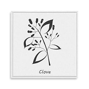 Framed Canvas Wall Art for Living Room, Bedroom Nordic Style Plants Theme Canvas Prints for Home Decoration Ready to Hang - 16x16 inches