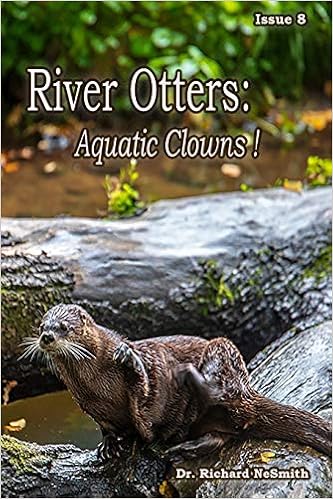 River Otters Aquatic Clowns Love Of Nature Nesmith Dr Richard A Amazon Com Books