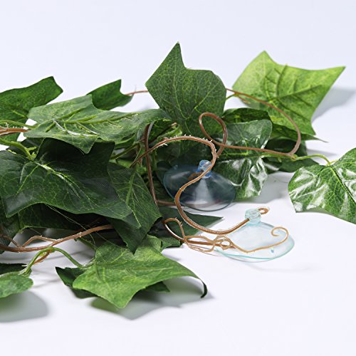 5 SLSON+Terrarium+Reptiles+Amphibians+Decorations