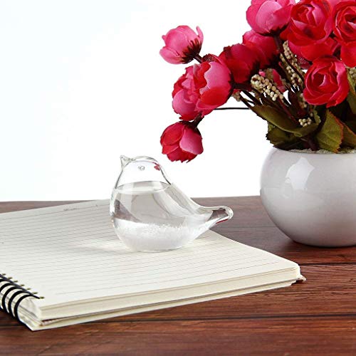 image for Sikye Clear Weather Forecaster Storm Glass Bird Shape Crystal Glass Cr