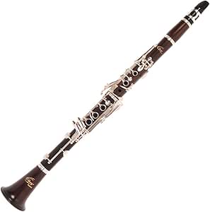 Odyssey PREMIERE cuerpo clarinete de ébano con funda : Amazon ...